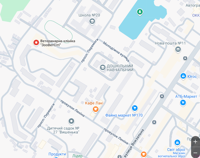 Ветеринарна клініка ЗооВетСіті залишити відгук на Google Maps